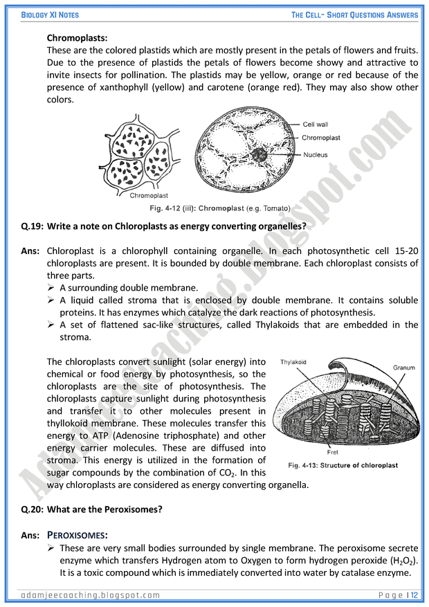 the-cell-short-question-answers-biology-11th