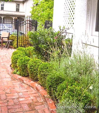 courtyard 058