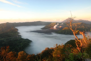 Paket Bromo Ijen Tour