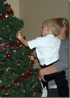 tree 1