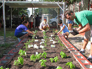 Five Benefits of Container Gardening