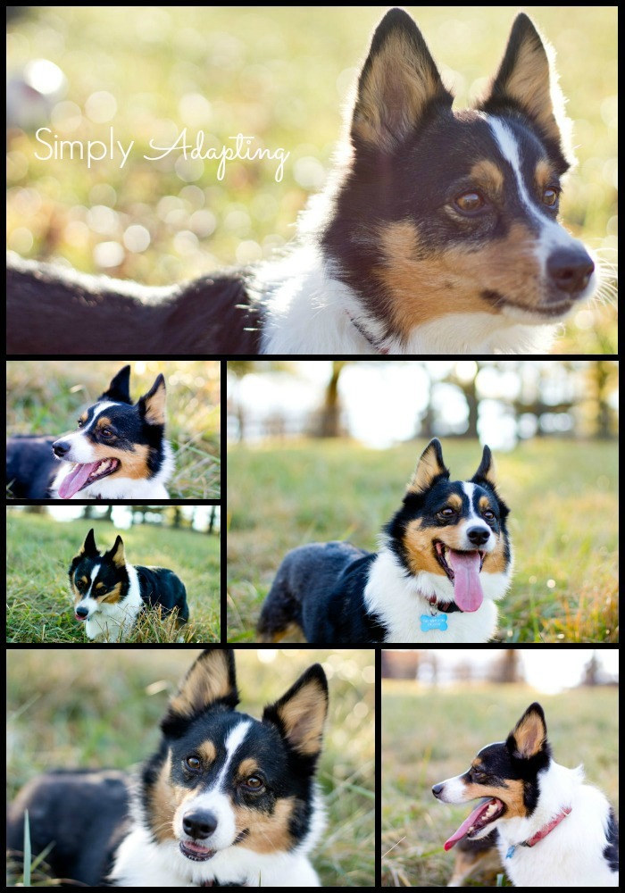 Winston Collage