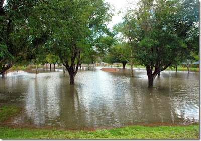 Ralph Edwards Park T or C