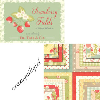 Moda STRAWBERRY FIELDS Quilt Fabric by Fig Tree Quilts