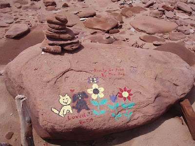  I found this message painted onto a rock while I was hunting for driftwood. They were obviously talented people but who goes to the beach with their paintbox?