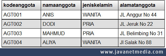 Cara Input Data Menggunakan Radio Button Pada VB .NET