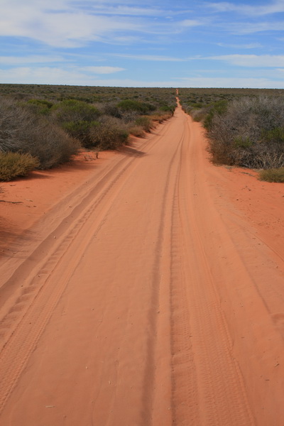 4x4 Track Francois Peron National Park, Western Australia - © CKoenig