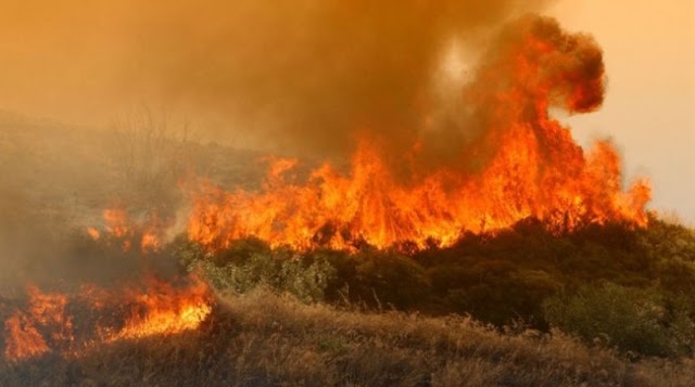 Η μεγαλύτερη καταστροφή για την Ελληνική Μελισσοκομία! Τεράστιες φωτιές κάνουν στάχτη το μέλλον μας...