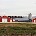 LED Program Helps Poultry Farmers Cut Costs