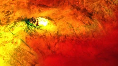 Why The Path To Aliens Ironically Depends On Earth