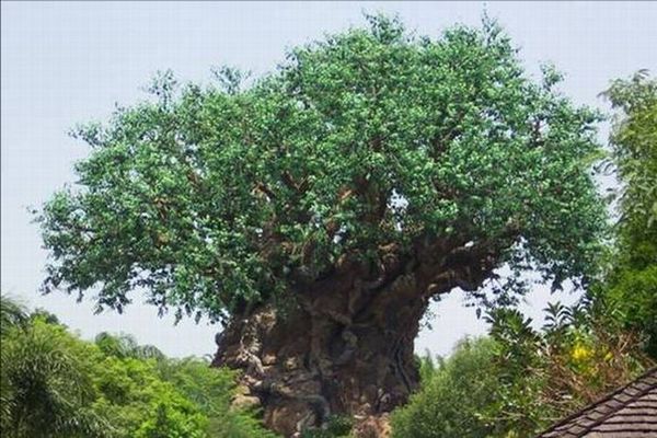 a 3D film hosted by Flick from'A Bug's Life' It is similar to the tree