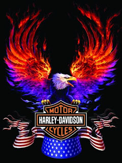 Suzuki Kawasaki Harley Davidson Harley Davidson Eagle 