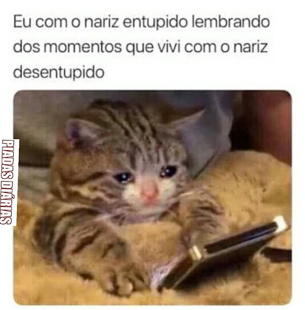 Memes engraçados