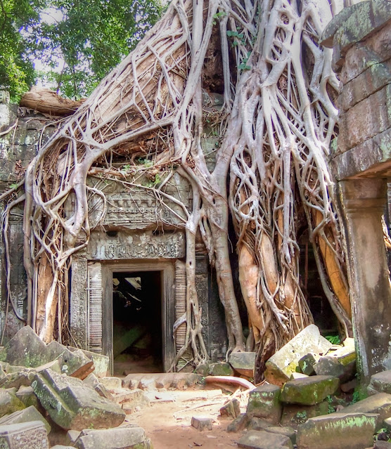 Angor Wat