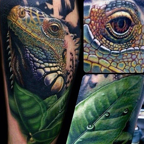 34 ideias de tatuagens de iguana para homens | A sua inspiração está aqui!