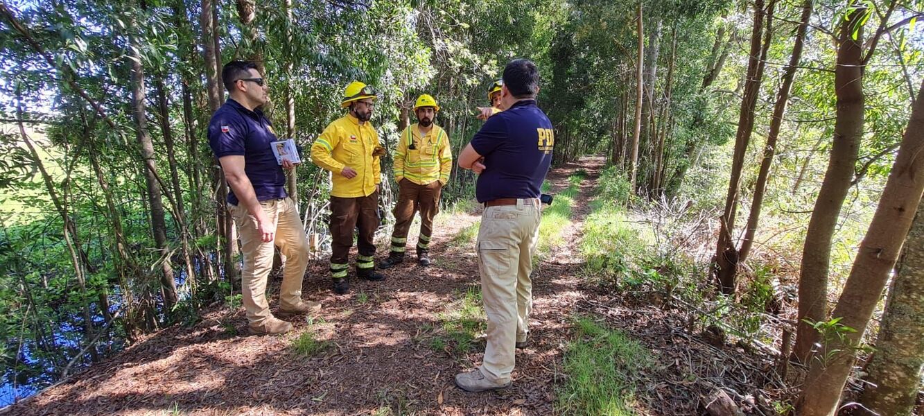 PDI investiga causas de incendio forestal en Santuario Angachilla de Valdivia
