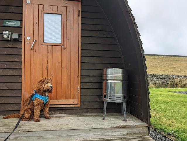 Herding Hill Farm - dog friendly wigwam