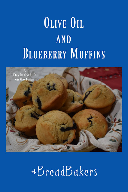 Olive Oil Blueberry Muffins pin