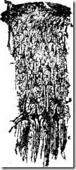 clip_image008