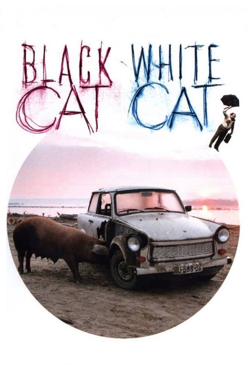 [HD] Gato negro, gato blanco 1998 Ver Online Castellano