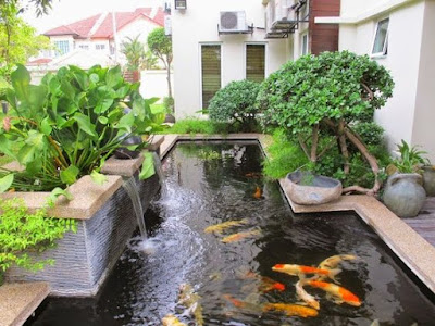 Model Kolam Ikan Minimalis di Halaman Rumah 