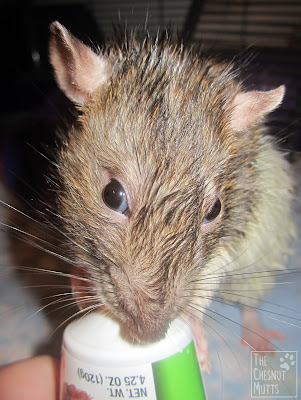 Everett having a snack after a bath