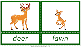 Animals and their babies -- deer - fawn -- printable flashcards