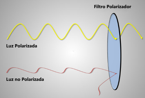 Filtro Polarizado