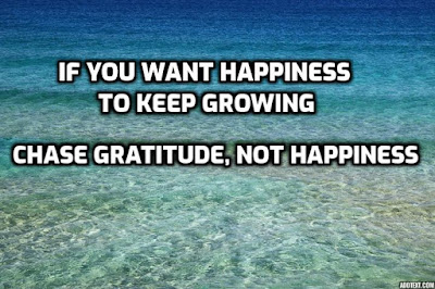 Gratitude for long term happiness and success
