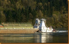 CIMG5282