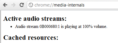 Google Chrome 15 media internals