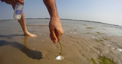    This Man Pours Salt Into The Beach For A Reason That Will Give You Shivers   