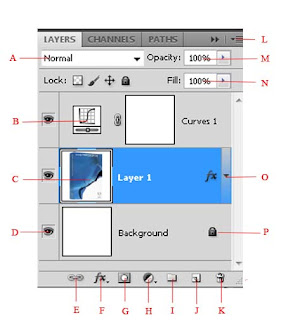 part of photoshop properties layer 