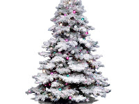 3' Pre-Lit Flocked Alaskan Artificial Christmas Tree - Clear Dura Lights