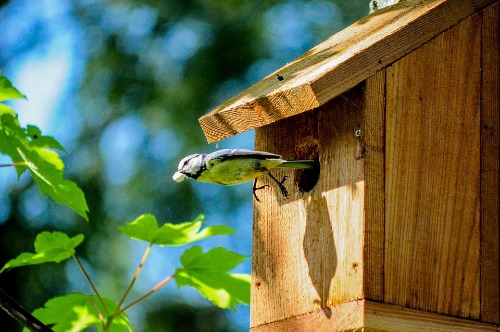 beste vogelhuisje aanbiedingen