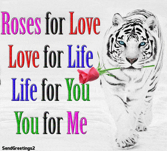 Roses for love love for live live for you you for me