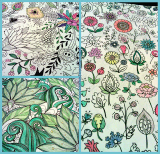 A collage of unfinished coloring pages.  