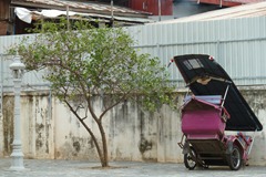 P1000415