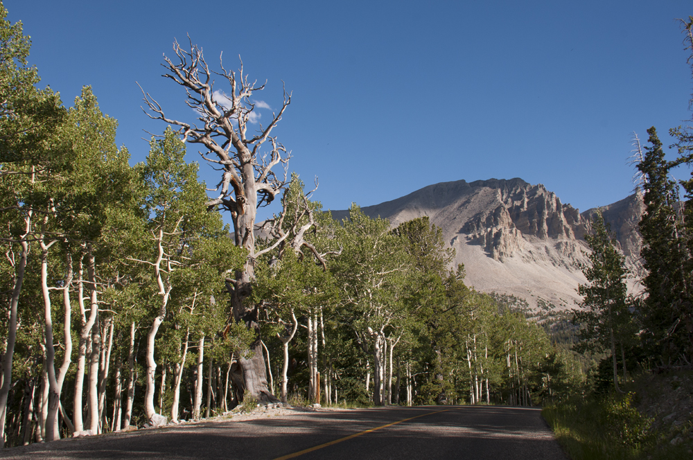 Great Basin National Park