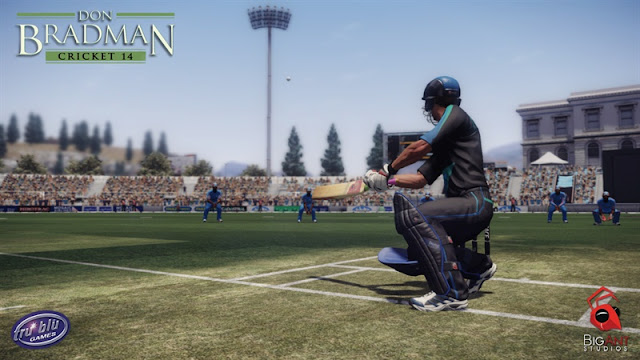 Don Bradman Cricket 14 PC Download Photo