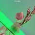 Flume - "Never Be Like You" (Martin Solveig remix)
