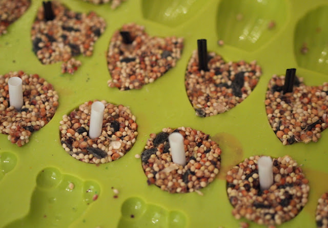 fill birdseed into silicone molds to make ornaments 