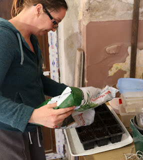 A putting potting compost into trays