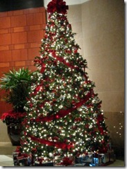 christmas_tree_75[1]