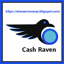 Cash Raven Review