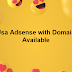 USA Adsense With domain available by Hamza Dan Ish