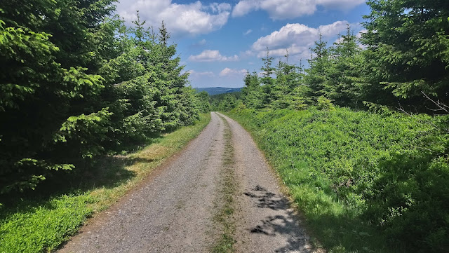 Sauerland wandern Wetter blog Bericht Hollenmarsch 2018 101km Rothaargebirge Kahler Asten Schmallenberger Rundweg Bad Berleburg Rothaarsteig X6 Robert-Kolb-Weg