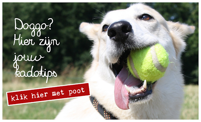 Met natuurlijke honden snacks en hondenspeelgoed