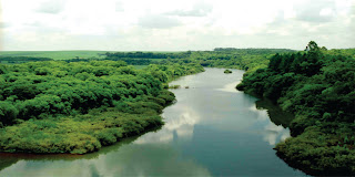 Reserva Florestal