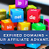 Monetizing expired domains